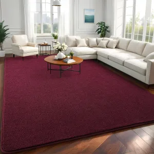 5x7 Red Area Rugs for Bedroom Shag Fur Rug, Modern Non-Slip Soft Plush Carpets for Wedding Indoor Living Room Home Décor Aesthetic Dark