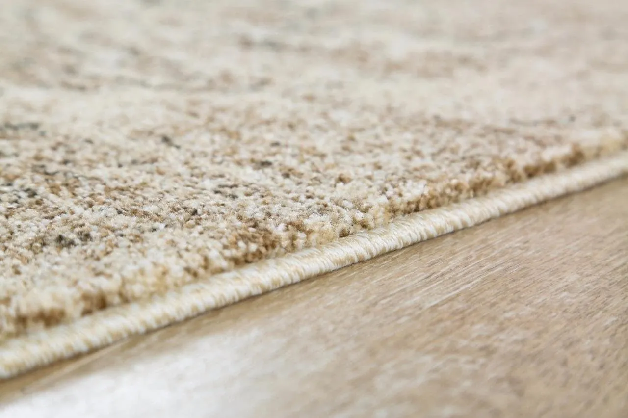 Beige 5x7 Area Rug