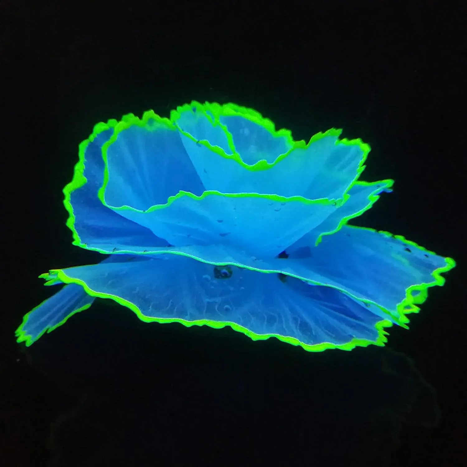 Besimple Artificial Coral Ornament Glowing Effect Resin Aquarium Plants Coral Aquarium Fish Tank Decorations(Blue)