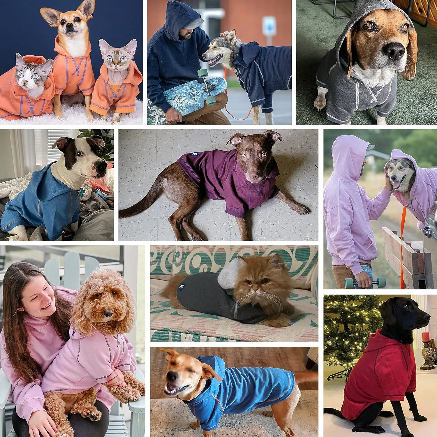 Blueberry Pet Hoodie 14", Sweatshirt With Cozy Soft French Terry, Coral Award-Winning Clothes for Small Dogs, Jersey for Chilly Season