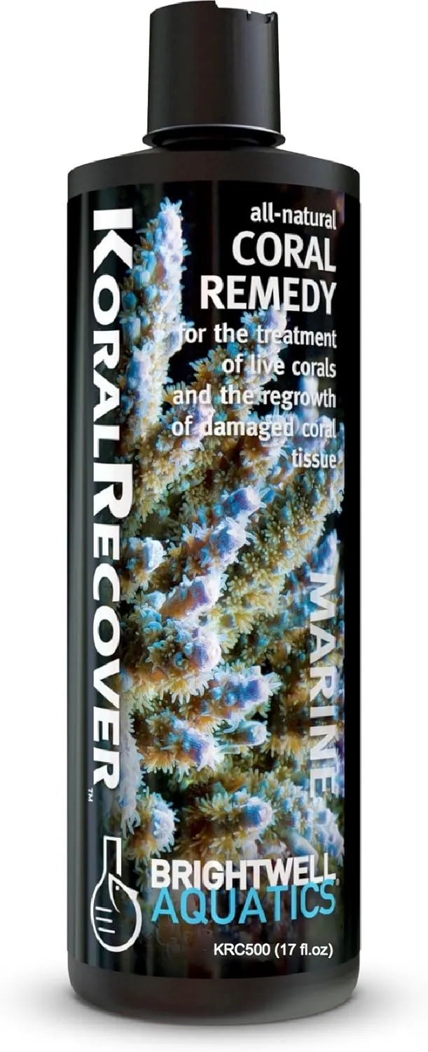 Brightwell Aquatics Koral Recover - Coral Remedy for Treatment of Live Corals & Regrowth of Damaged Coral Tissue, 500ml, 500-ML (KRC500)