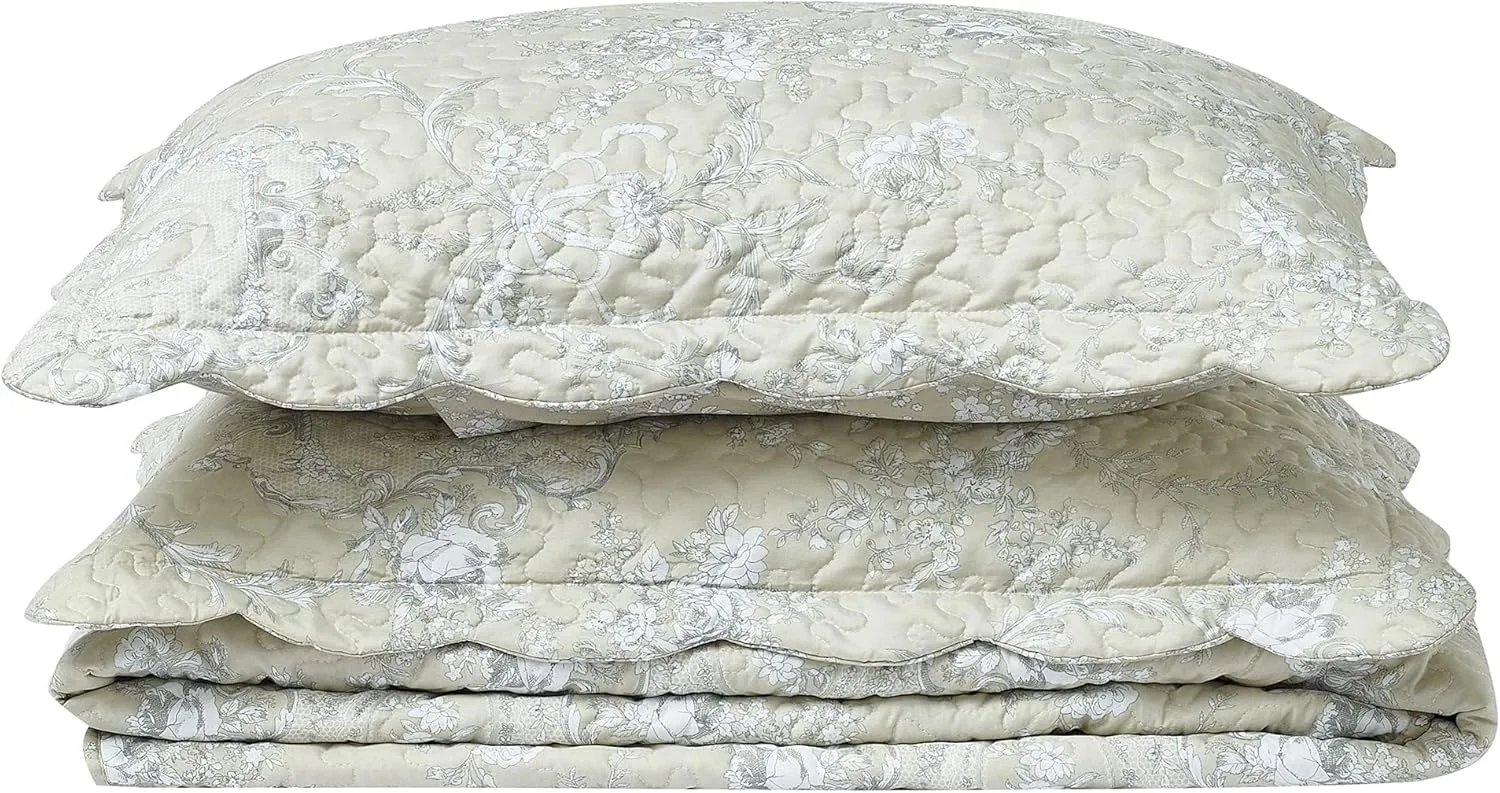 Brilliant Sunshine Classic Grey Floral Toile in Beige Background, 3-Piece Quilt Set with 2 Shams, Reversible Bedspread, Soft Lightweight Coverlet, All-Season, Full/Queen, Beige