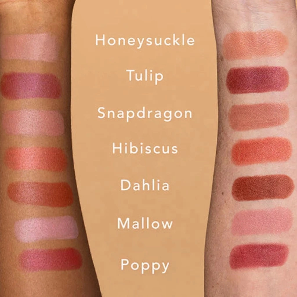 Ethique - Dahlia Satin Matte Lipstick (Terracotta Brown) (8g)