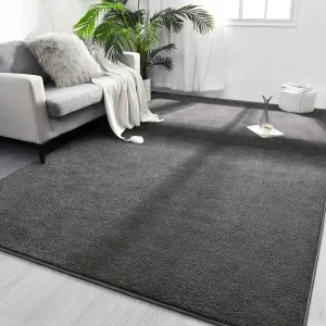 FlyDOIT Area Rugs for Bedroom Living Room, 4x6 Dark Grey Super Soft Comfy Thickened Memory-Foam Indoor Carpets, Modern Aesthetic Minimalist Carpet for Boys Girls Adults Apartment Nursery Home Décor