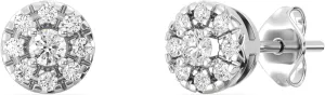 Gilded Lab-Grown Diamond Stud Plus Round Halo Earrings for Women, Round Cut, 4-Prong, Push Back, 925 Sterling Silver or 14KTGold-Plated, F Color SI1