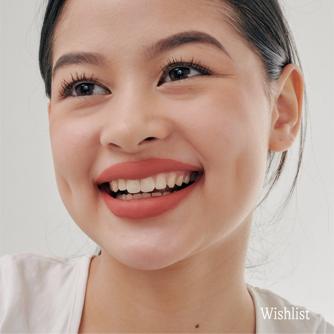 Liquid Matte Lipstick in Wishlist