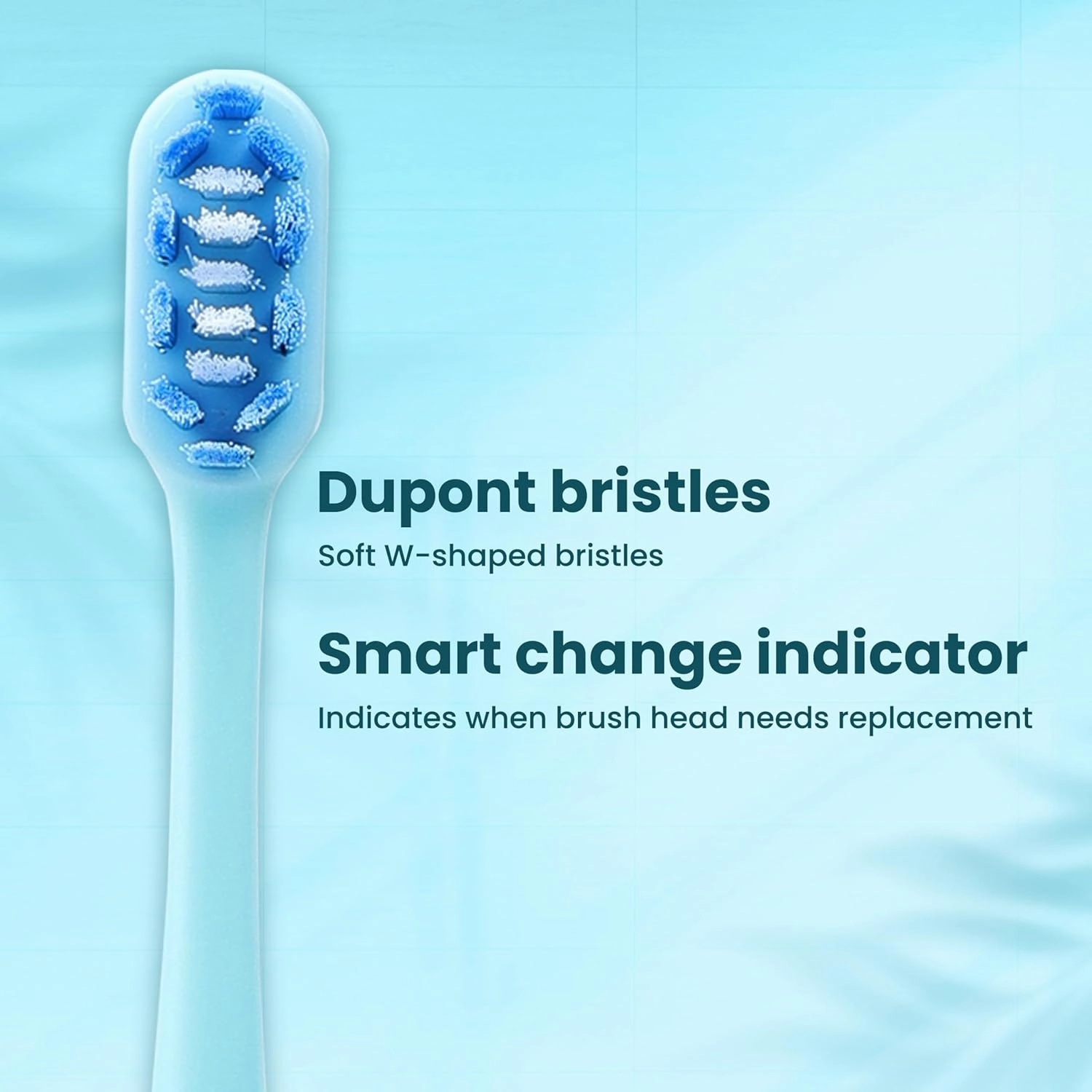 Neo Sonic Electric Toothbrush AAA Powered 120 Days Battery Life Ultra Soft Dupont and Vibrating Bristles for Unisex Adults 2 Brush Heads & 1 Brush Head Cover (Coral Red)