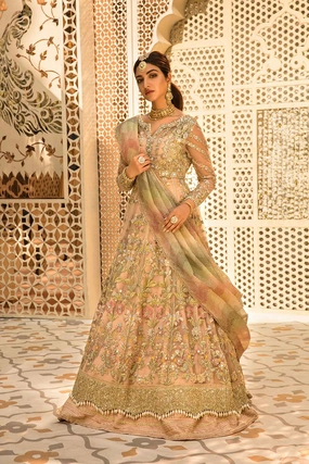 Restocked/Crimson Wedding Edition/SHEESHAY HAZARON - BLUSH