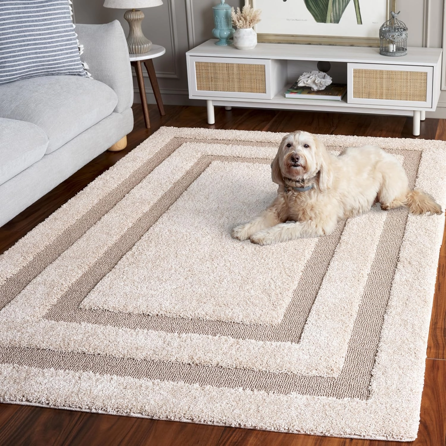 Safavieh Florida Shag Collection Accent Rug - 4' x 6', Beige & Dark Beige, Border Design, 1.2-inch Thick, Ideal for The Living Room, Dining, Bedroom (SG454)