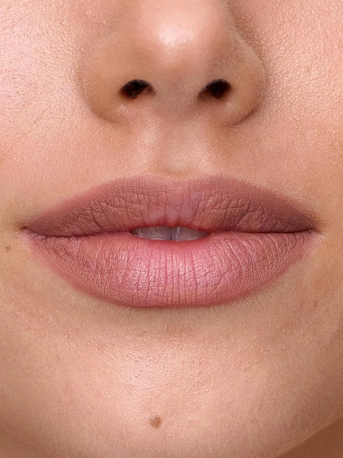 Sweed - Lip Liner Pencil | Color-Rich, Smudge   Feathering-Free | Jojoba Seed Oil to Moisturize   Nourish | Vegan, Cruelty-Free, Clean Beauty (Barely There)
