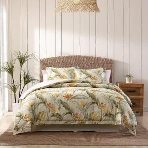 Tommy Bahama - Queen Comforter Set, Reversible Cotton Bedding with Matching Shams & Bedskirt, Super Soft Bedding Set (Birds of Paradise Off-White, Queen)